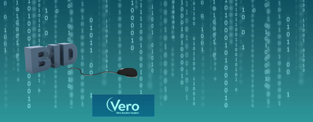 Vero auction system bid with mouse over binary code